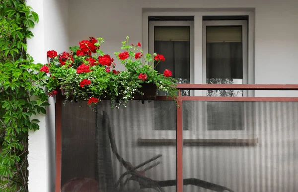 Balcony Decorated Beautiful Blooming Potted Flowers — 스톡 사진