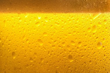 Glass of tasty cold beer with foam and condensation drops as background, closeup