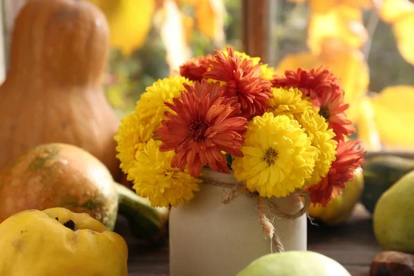 Schöne Bunte Chrysanthemenblüten Der Vase Und Kürbisse Drinnen Nahaufnahme Herbststilleben — Stockfoto