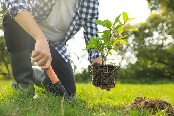 Homem Plantando Árvore Verde Jovem Jardim Close — Fotografia de Stock