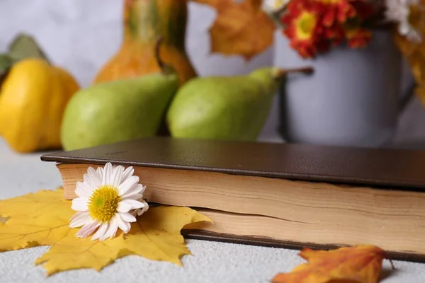 有秋叶和洋甘菊花作为书签的书放在浅灰色的桌子上 — 图库照片