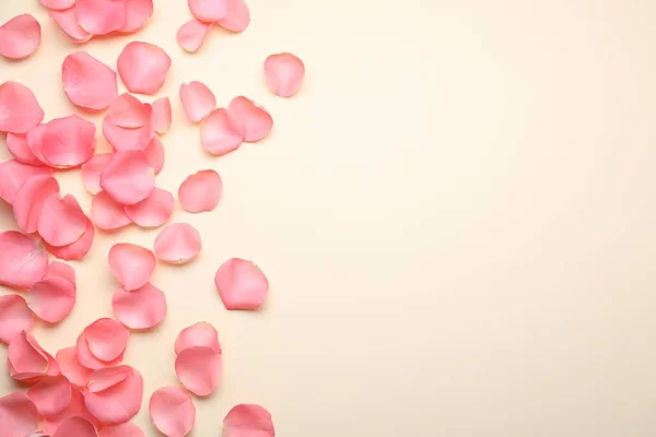 ベージュ地に美しいピンクのバラの花びら フラットレイアウト テキストのスペース — ストック写真
