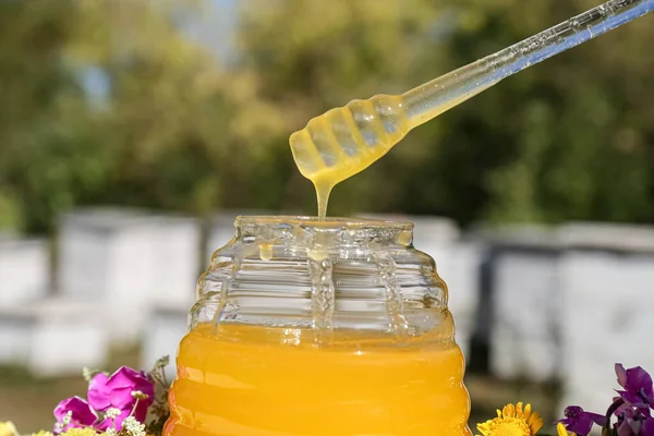Taking Delicious Fresh Honey Dipper Glass Jar Apiary Closeup — Stock Photo, Image