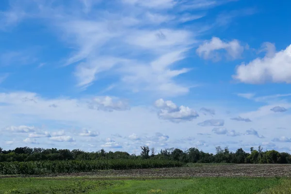 Piękny Widok Błękitne Niebo Białymi Chmurami Nad Zielonym Polem — Zdjęcie stockowe