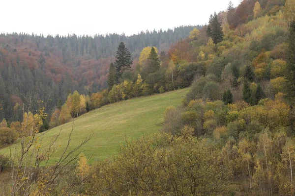 Piękny Krajobraz Lasem Górach Jesienny Dzień — Zdjęcie stockowe