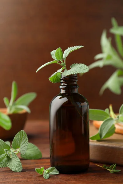 Bottle Essential Oil Fresh Herbs Wooden Table — Stock Photo, Image