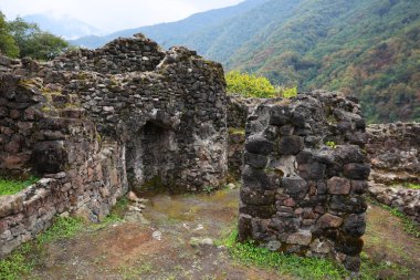 Dağlardaki taş harabelerine ve ormanlara bakın.