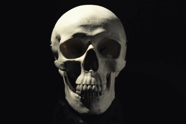 White human skull with teeth on black background clipart