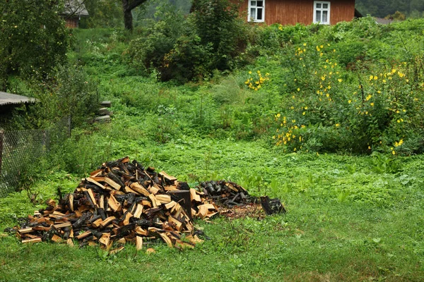新鮮な緑の芝生の屋外で薪をカットの山 テキストのためのスペース — ストック写真