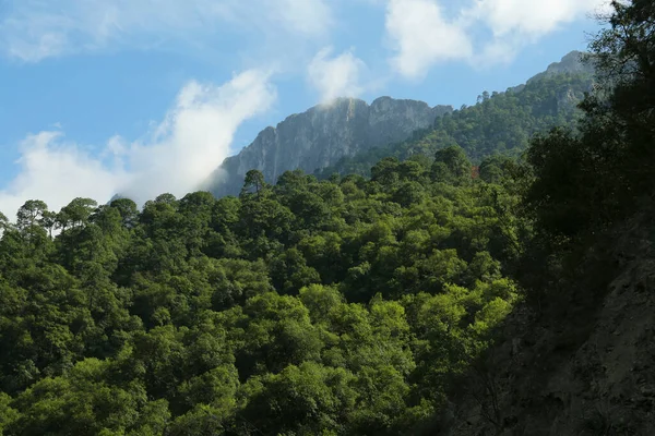 Grandes Montanhas Árvores Sob Céu Nublado — Fotografia de Stock