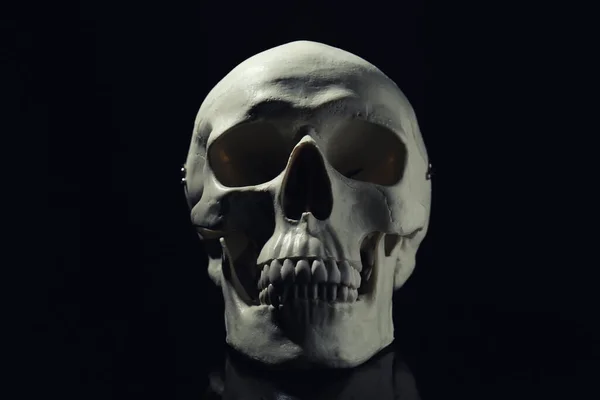 Crâne Humain Blanc Avec Des Dents Sur Fond Noir — Photo