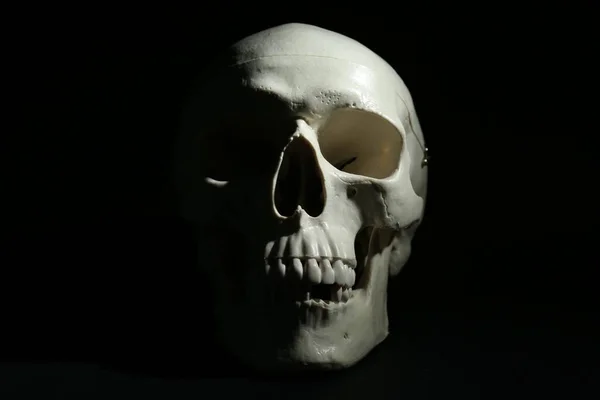 Cráneo Humano Blanco Con Dientes Sobre Fondo Negro — Foto de Stock