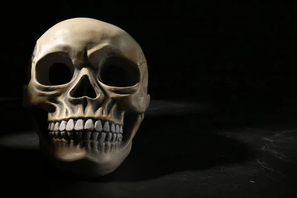 Old human skull with teeth on black background. Space for text