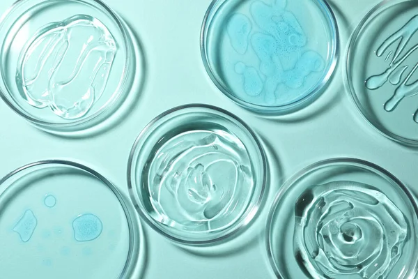 Petri Dishes Liquids Turquoise Background Flat Lay — Stock Photo, Image