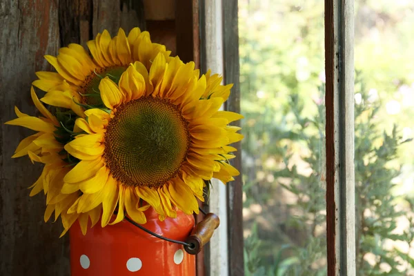 Bouquet Beautiful Sunflowers Tin Window Space Text — Stock Photo, Image