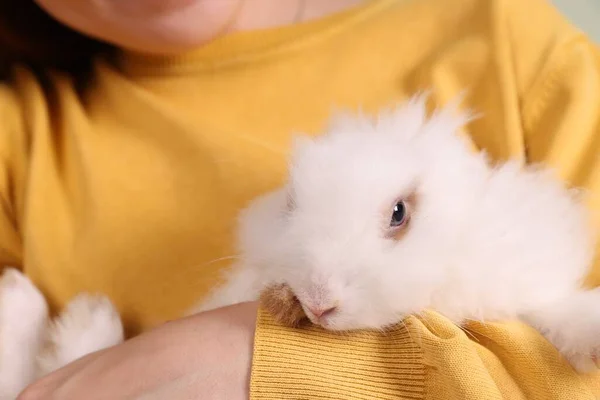 Şirin Tüylü Beyaz Tavşanlı Kadın Kapalı Mekanda Yakın Plan — Stok fotoğraf