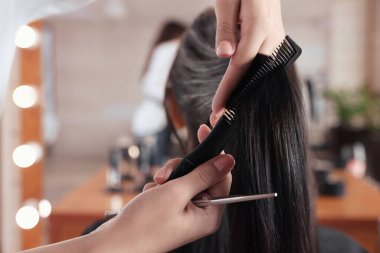 Güzellik salonunda kadın saçını tarayan profesyonel kuaför, yakın plan.