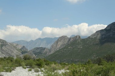 Güzel dağların ve bulutlu gökyüzünün altındaki bitkilerin resimli görüntüsü.