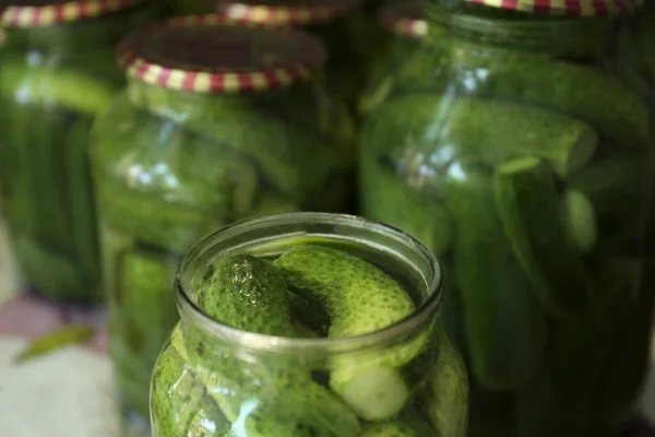 Many Pickling Jars Fresh Cucumbers Closeup — Stock Photo, Image