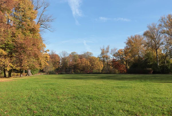 Malowniczy Widok Park Pięknymi Drzewami Zieloną Trawą Słoneczny Dzień Jesienny — Zdjęcie stockowe