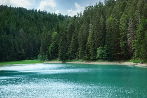 stock image Picturesque view of clear lake near forest