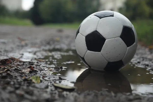 Leather Soccer Ball Puddle Outdoors Space Text — Stock Photo, Image