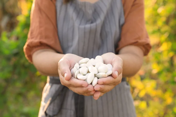 Stock image Woman holding white beans in hands outdoors, closeup