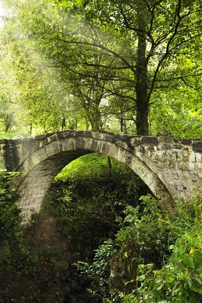 公園内の美しい古い石造りの橋と緑の木 — ストック写真
