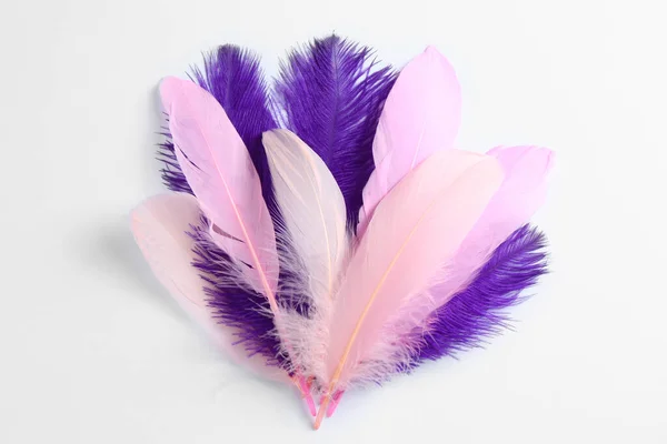白を基調とした美しい紫と薄いピンクの羽 — ストック写真