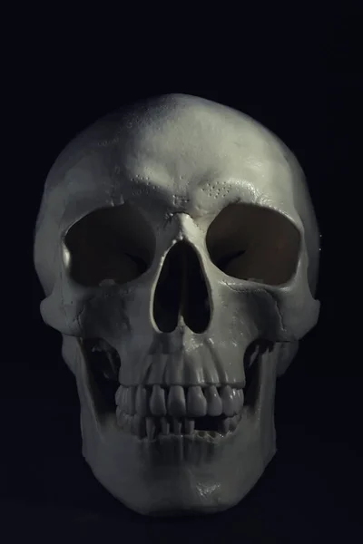 Biała Ludzka Czaszka Zębami Czarnym Tle — Zdjęcie stockowe