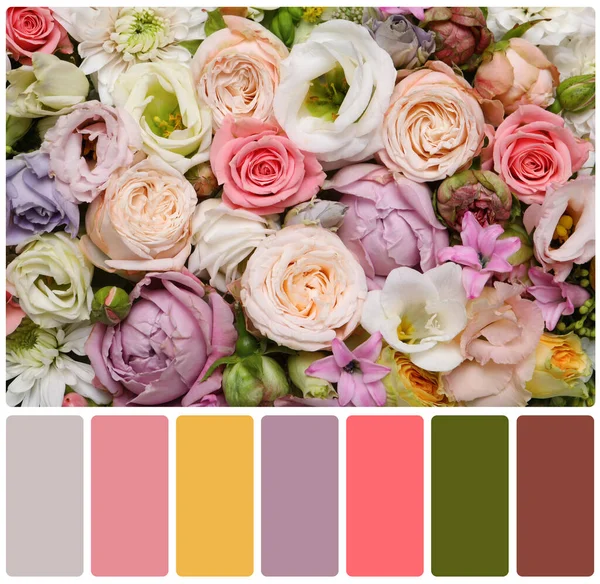 Piękne Świeże Kwiaty Paleta Kolorów Kolaż — Zdjęcie stockowe