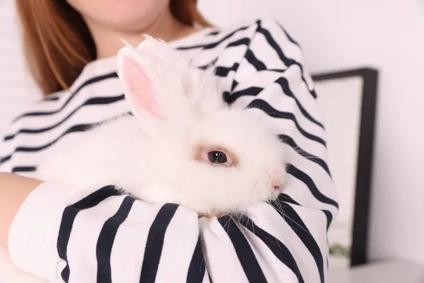 Frau Mit Niedlichen Flauschigen Weißen Haustier Kaninchen Drinnen Nahaufnahme — Stockfoto