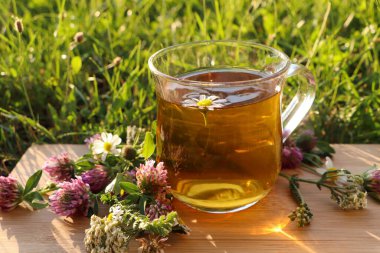 Bir fincan aromatik bitki çayı ve yeşil çimlerde farklı kır çiçekleri, yakın plan.