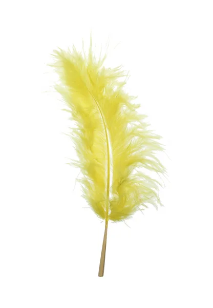 Fluffy Beautiful Yellow Feather Isolated White — Zdjęcie stockowe