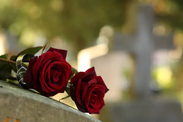 stock image Red roses on grey tombstone outdoors on sunny day, space for text. Funeral ceremony