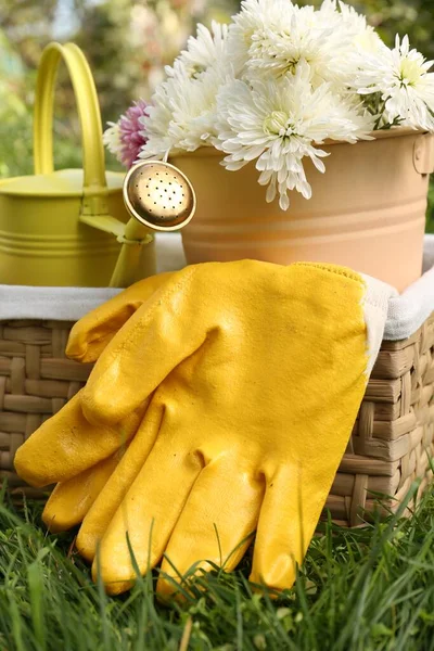 Wiklinowy Kosz Rękawiczkami Ogrodniczymi Kwiatami Konewką Trawę Świeżym Powietrzu — Zdjęcie stockowe
