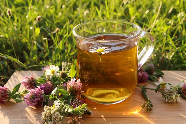 Cup Aromatic Herbal Tea Different Wildflowers Green Grass Outdoors Closeup — Stock Photo, Image