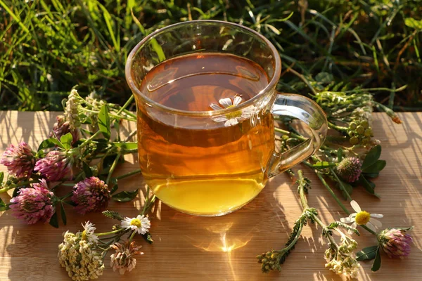 Filiżanka Aromatycznej Ziołowej Herbaty Różnych Dzikich Kwiatów Zielonej Trawie Świeżym — Zdjęcie stockowe