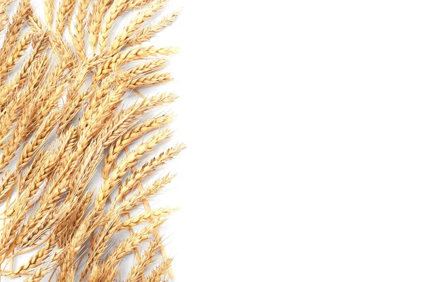 Beyaz Arka Planda Bir Sürü Buğday Düz Bir Zemin Metin — Stok fotoğraf