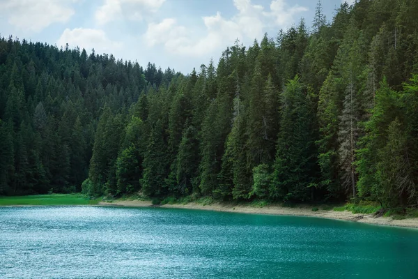 Malowniczy Widok Czyste Jezioro Pobliżu Lasu — Zdjęcie stockowe