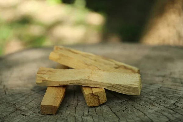 Palo Santo Sticks Wooden Stump Outdoors Closeup — Stock Photo, Image