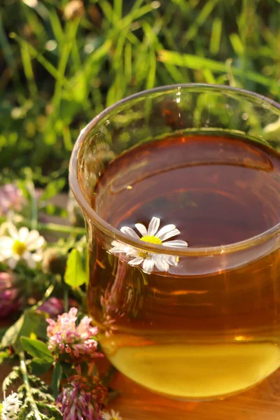 Cup Aromatic Herbal Tea Different Wildflowers Green Grass Outdoors Closeup Royalty Free Stock Images