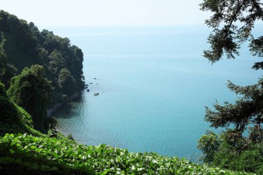 Güzel, sakin ve tekneli bir denizin manzarası.