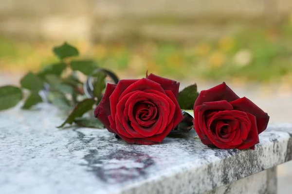 Röda Rosor Granitgravsten Utomhus Begravning — Stockfoto