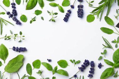 Çerçeve beyaz arka planda farklı aromatik otlarla yapılmış, düz. Metin için boşluk
