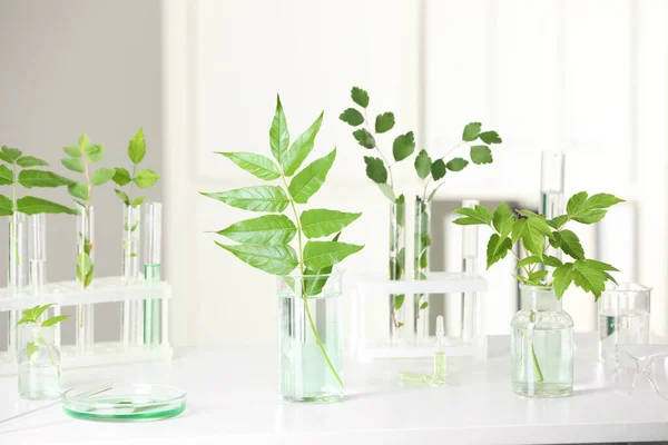 stock image Laboratory glassware with plants on white table