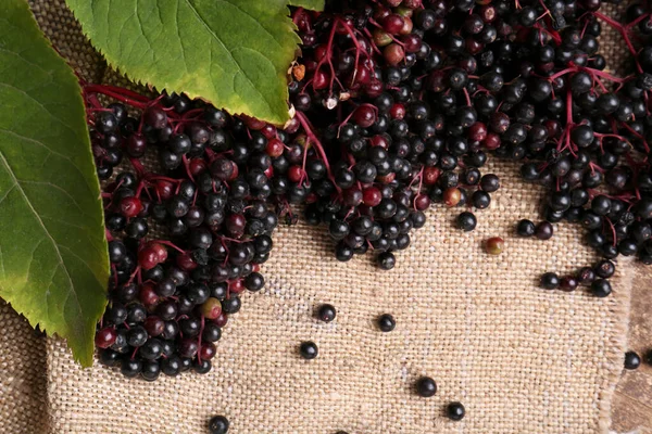 stock image Tasty elderberries (Sambucus) on sack cloth, flat lay