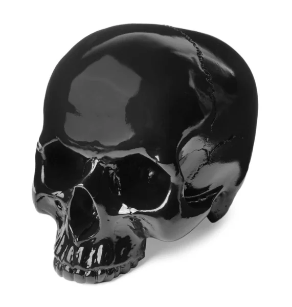 Cráneo Humano Brillante Negro Aislado Blanco — Foto de Stock