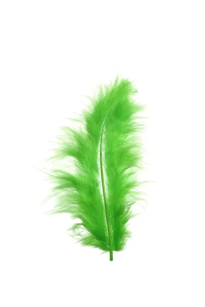 Fluffy Beautiful Green Feather Isolated White — Fotografia de Stock