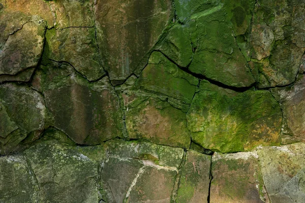 Stone Wall Overgrown Green Moss Outdoors Closeup — Stockfoto
